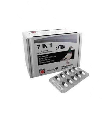 7 in 1 EXTRA